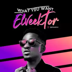 Elveektor - “What You Want”